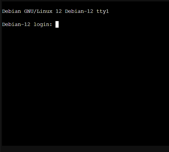 DebianConsole